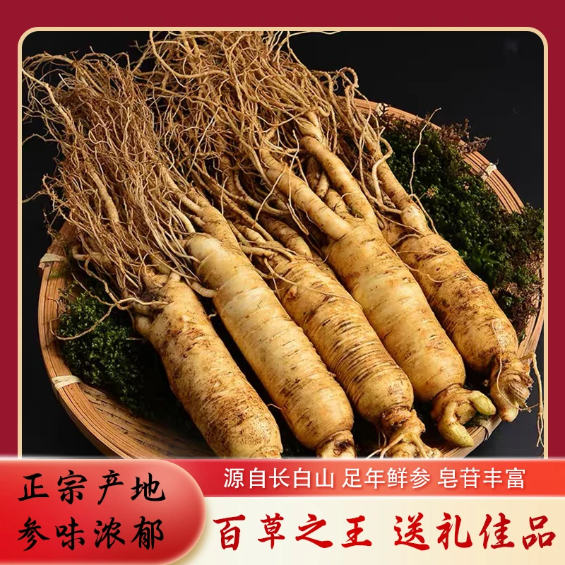 【煲汤泡酒】正宗长白山新鲜人参 17g-20/支 东北特产 原产地直发