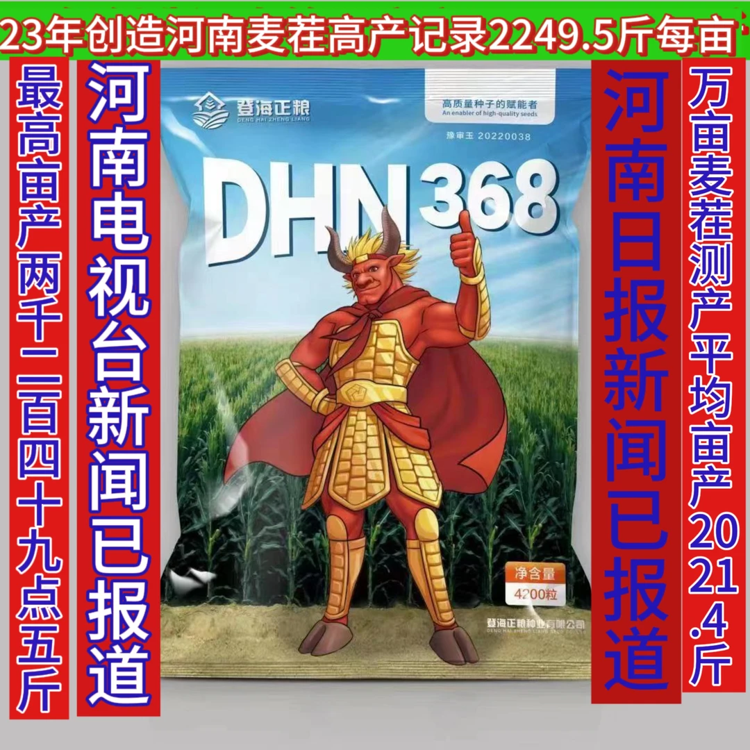 DHN368登海23年破河南玉米高产记录麦茬2249.5斤万亩平均2021.4斤