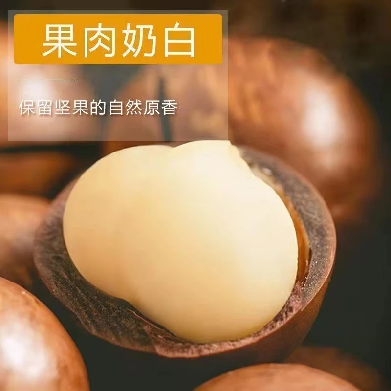 大颗粒奶香夏威夷果新果JH-QP