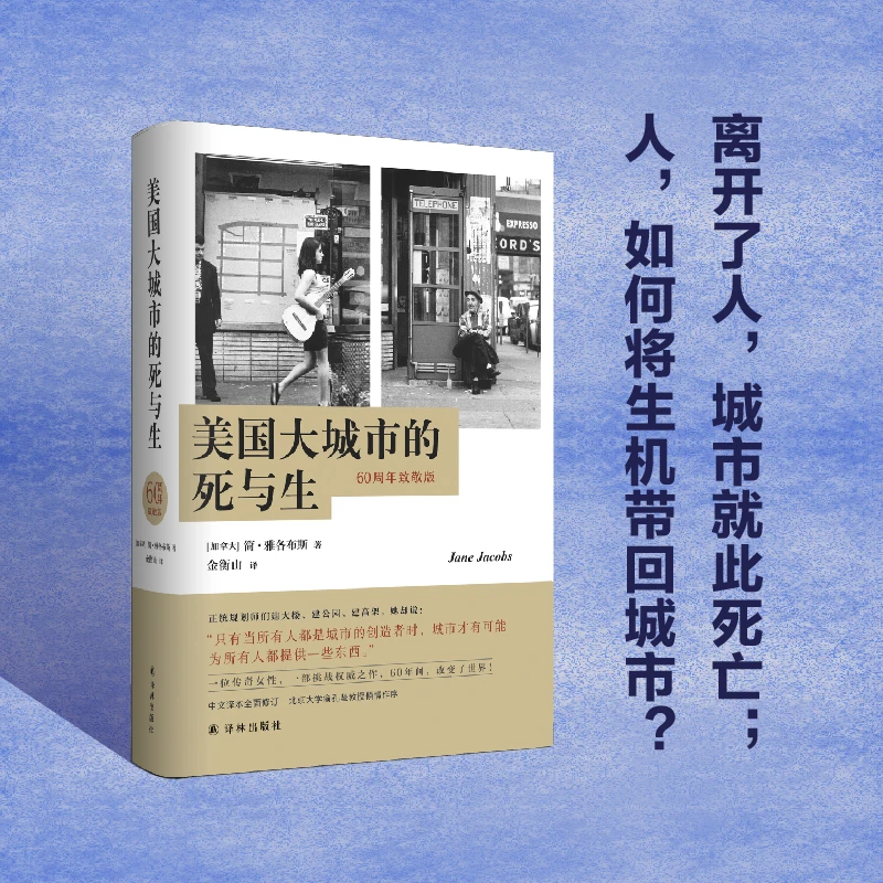 美国大城市的死与生 诠释摆地摊的经济社会文化逻辑精装平装可选