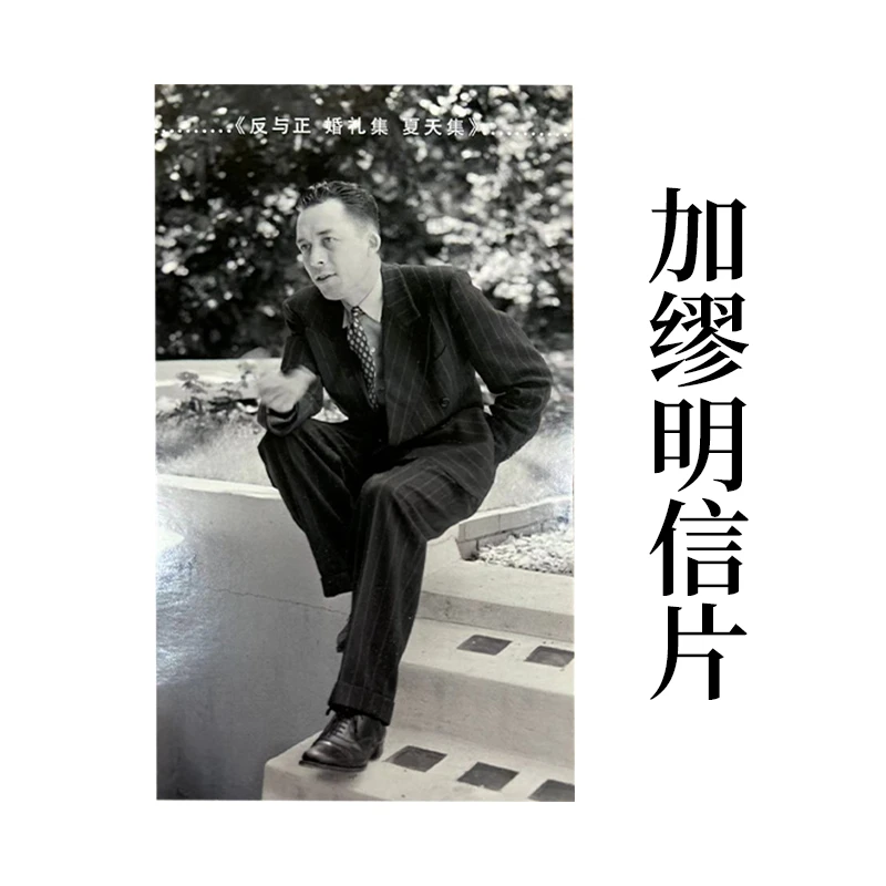 译林加缪明信片 纸质明信片书签