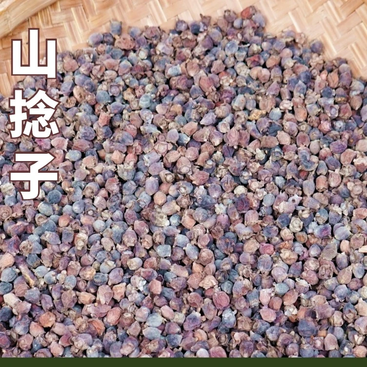 【山捻子】桃金娘倒捻子深山采摘非种植泡水煲汤农家采摘自晒山货