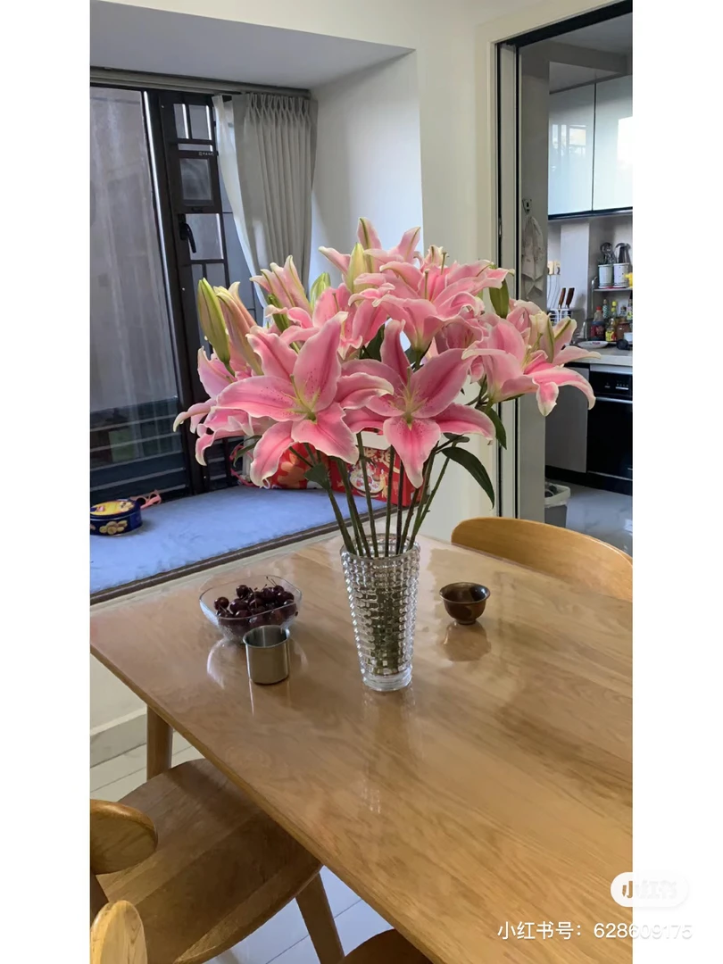 多头索尔邦百合5枝，至少20个花苞