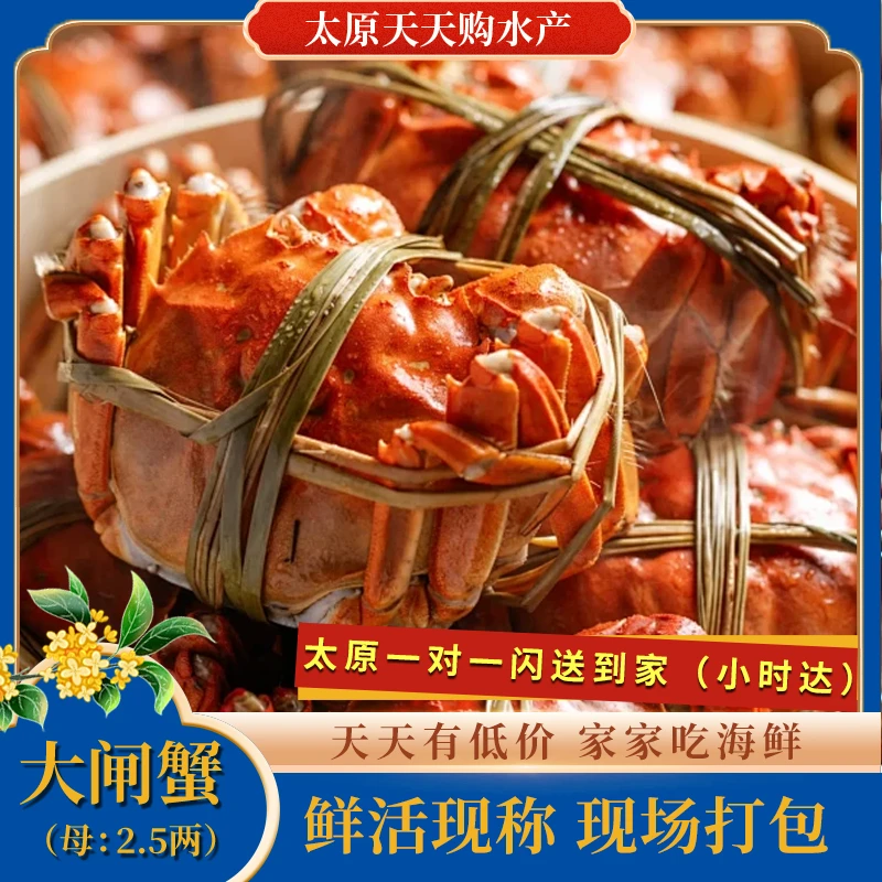 精品母河蟹一只【2.5两】