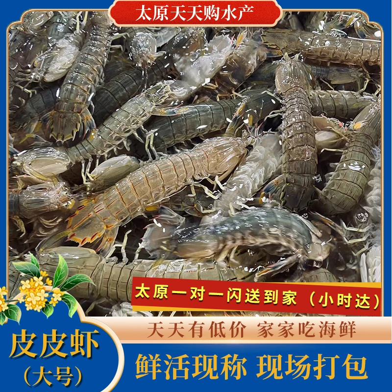 『精品|中号』皮皮虾【3斤】