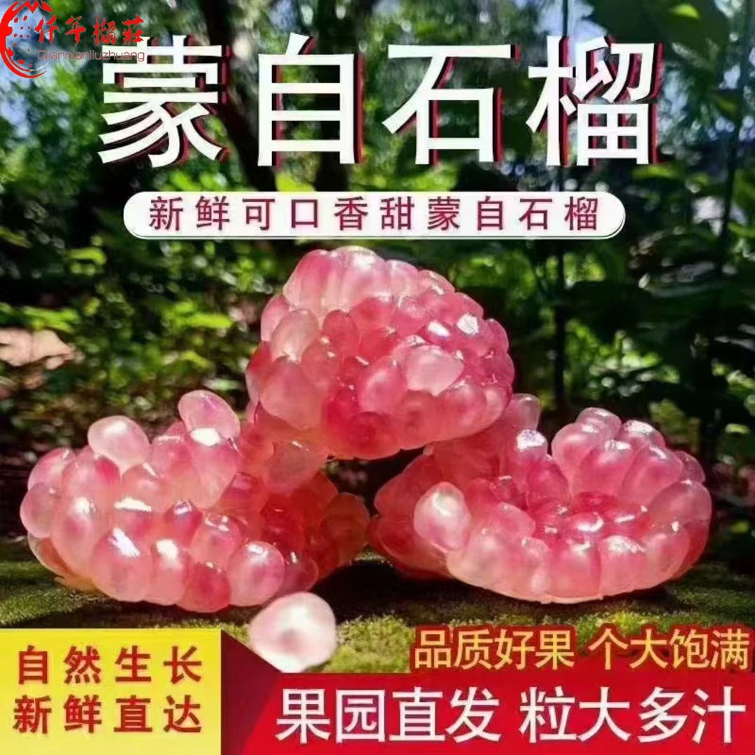蒙自石榴香甜爆汁新鲜营养饱满采摘多汁果园