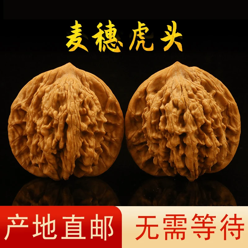 【精配麦穗虎头42MM】涞水老树文玩核桃白茬虎头高品质易走色送礼