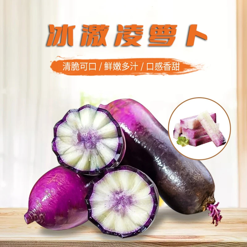 冰激凌水果萝卜生吃农产品水果萝卜产地发货中通包邮净重5斤装
