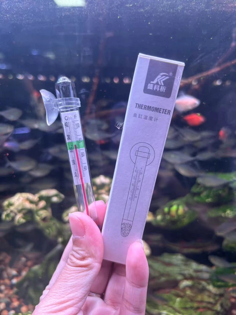 鱼缸温度计一个