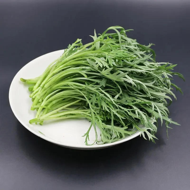 围场山味  野生柳蒿  掐尖品质  顺丰包邮