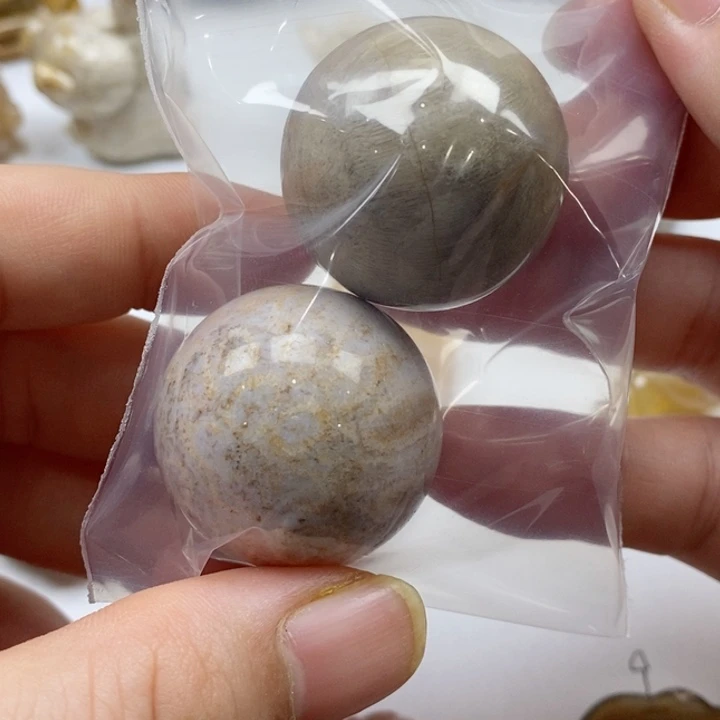 硅化珊瑚（珊瑚玉）颈饰未镶嵌有瑕