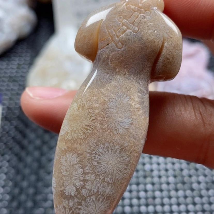 【闪购商品】硅化珊瑚(珊瑚玉)颈饰未镶嵌