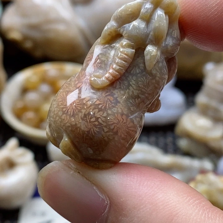 硅化珊瑚(珊瑚玉)颈饰未镶嵌