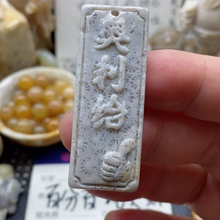 硅化珊瑚(珊瑚玉)颈饰未镶嵌