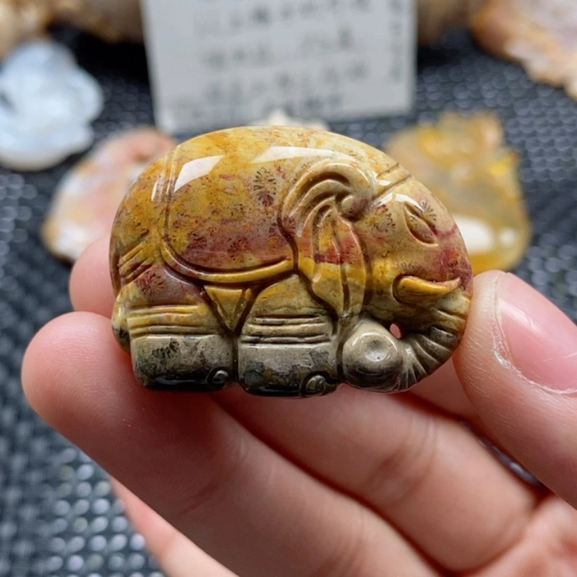 【闪购商品】硅化珊瑚（珊瑚玉）颈饰未镶嵌