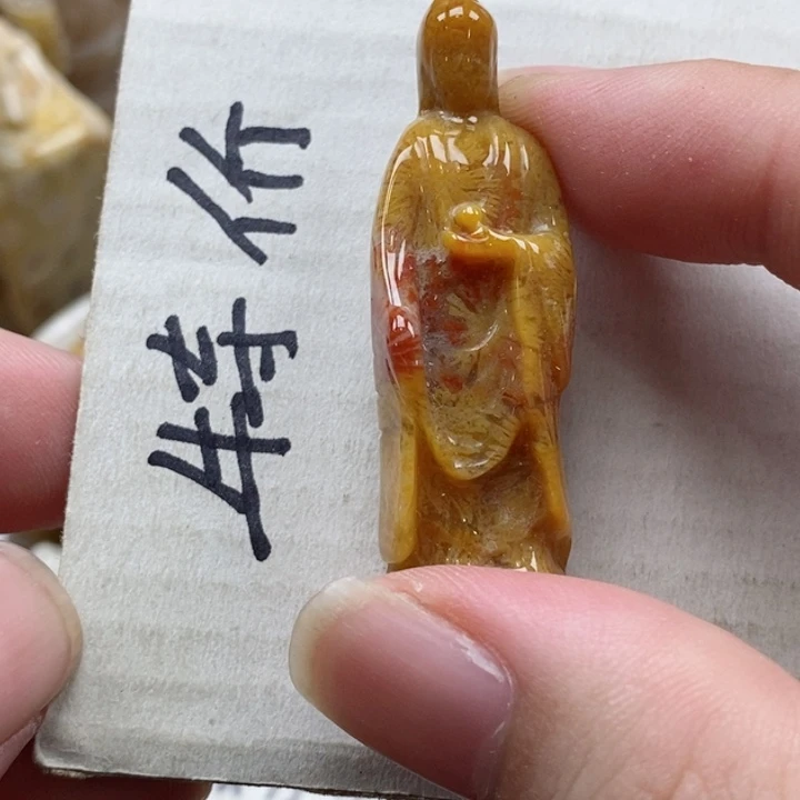 硅化珊瑚(珊瑚玉)颈饰未镶嵌秀*