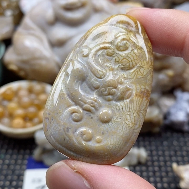 硅化珊瑚（珊瑚玉）颈饰未镶嵌A****)