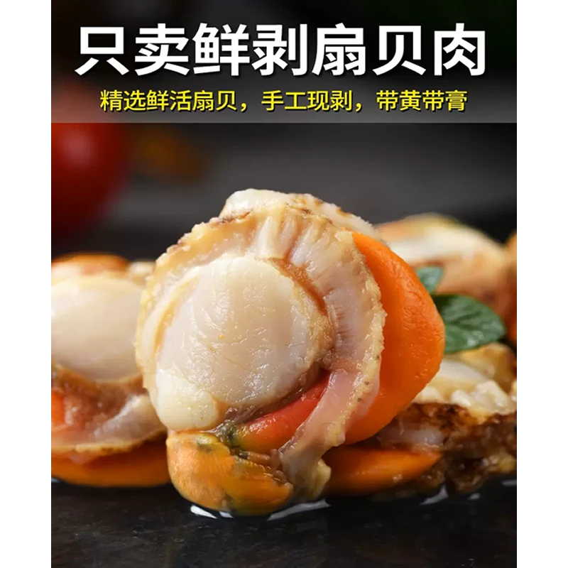 【6袋福利】扇贝肉新鲜冷冻带黄保鲜扇贝黄蚬子鲜活批发商用海鲜