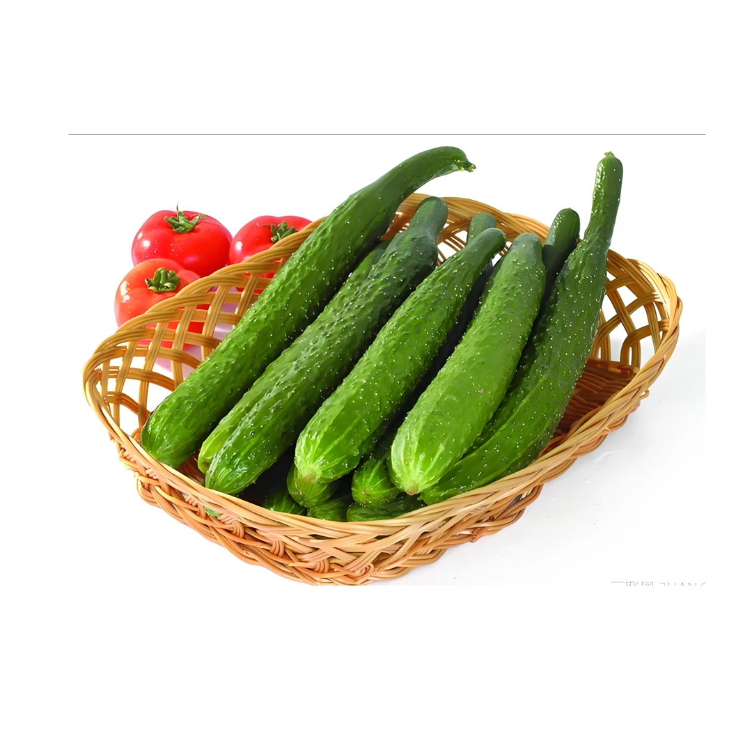 【配送到家】黄瓜青瓜500g±50g黄瓜同城送黄瓜同城配