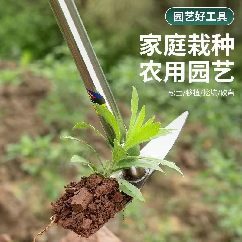 不锈钢园艺小锄头松土种菜挖笋花锄钢管柄虫草锄两用锄耙尖锄工具