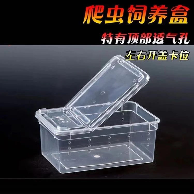 蚕宝宝饲养盒 大 学生养蚕套装工具 彩蚕宝宝手提盒子