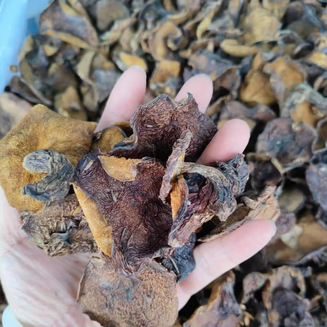 东北大兴安岭特产野生粘团子牛肝菌松蛾干蘑菇500克干货包邮