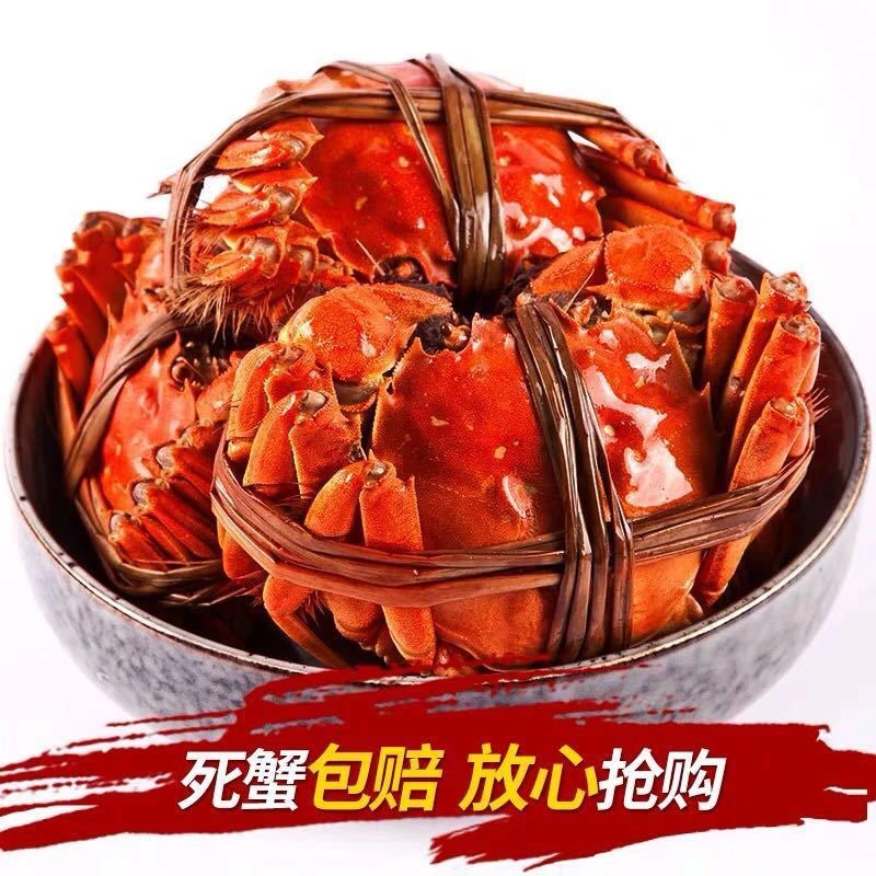 2两母蟹    8 只单只 1. 7到 2.1，签收 2 个小时内检查伤亡死蟹包赔超过时间不赔付