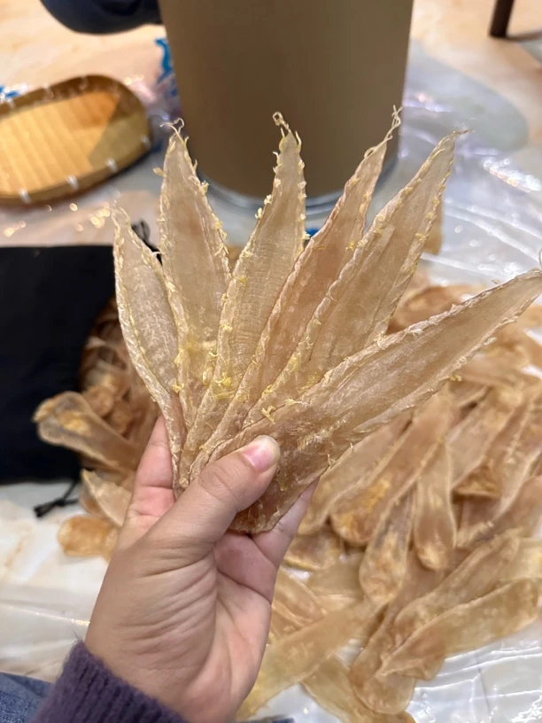 南澳本港自晒白花胶红袄胶45头