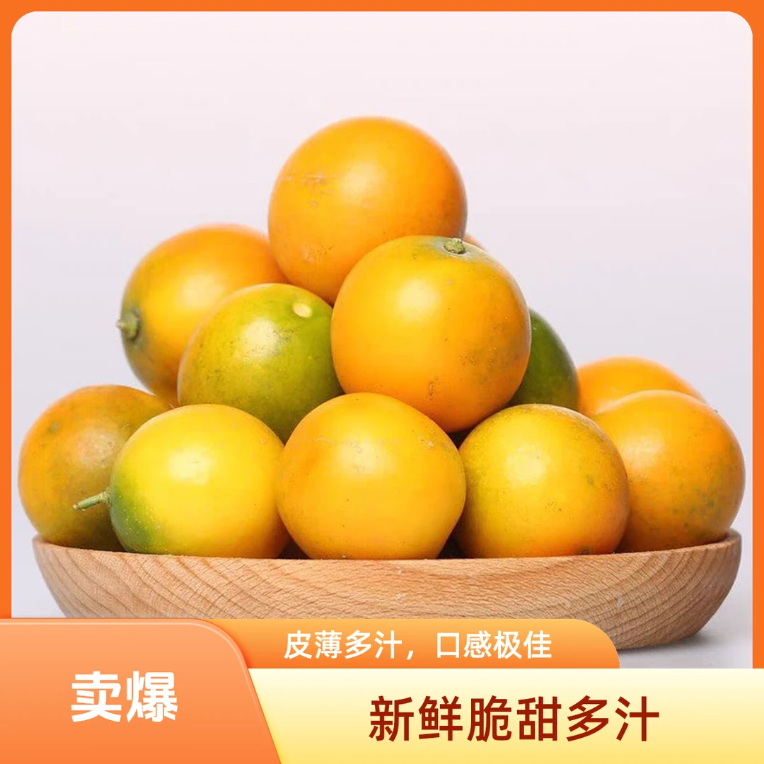 正宗融安脆蜜金柑/斤