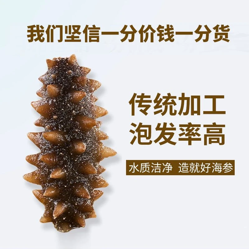 尚膳堂盐渍海参10-70头500克 长岛半干海参拉缸盐海参