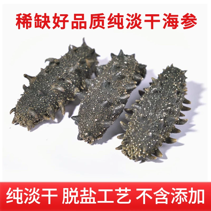 预售带泡发淡干海参高泡发营养丰富送礼佳选80头-120头/斤