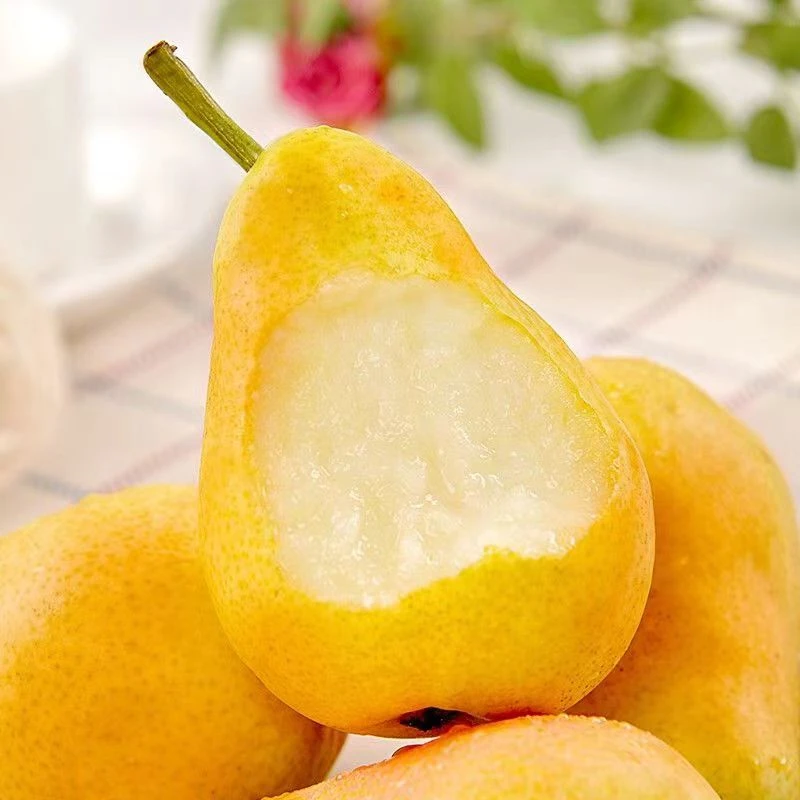 烟台太婆梨要放软吃软糯多汁当季新水果皮薄汁多肉厚核小