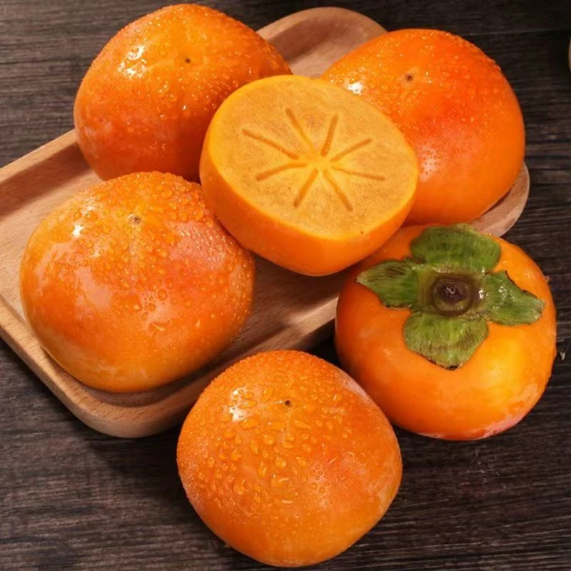 [现摘现发]陕西巧克力脆甜柿子装脆甜多汁产地直发