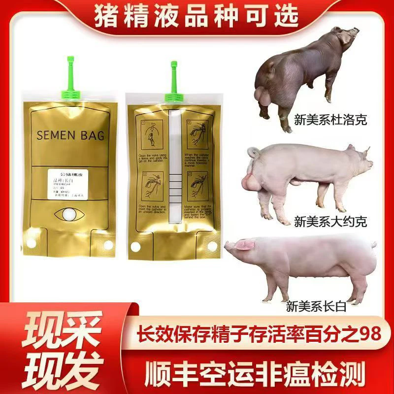 新美系杜洛克长白大白猪精液
