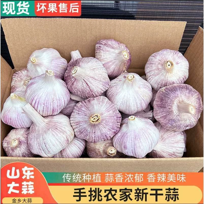 【十足干蒜】山东金乡香辣味大蒜头干蒜紫皮新鲜多瓣蒜整箱农家自种