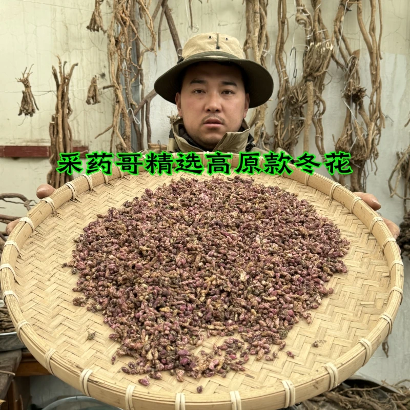 甘肃海拔三千米高原款冬花新货500克包邮