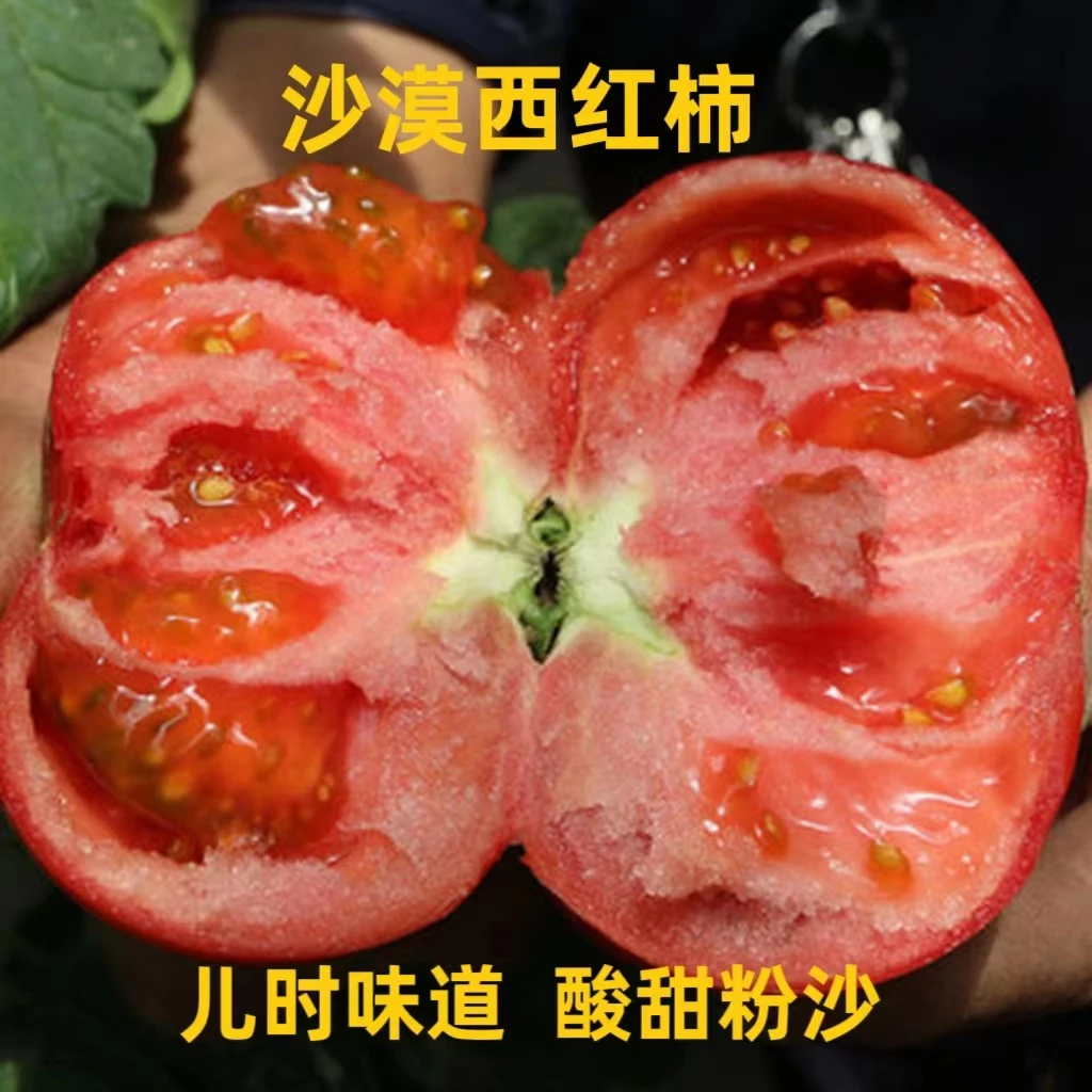 【顺丰/京东】甘肃沙漠水果西红柿4.5斤包邮（甘肃陕西仓随机发）