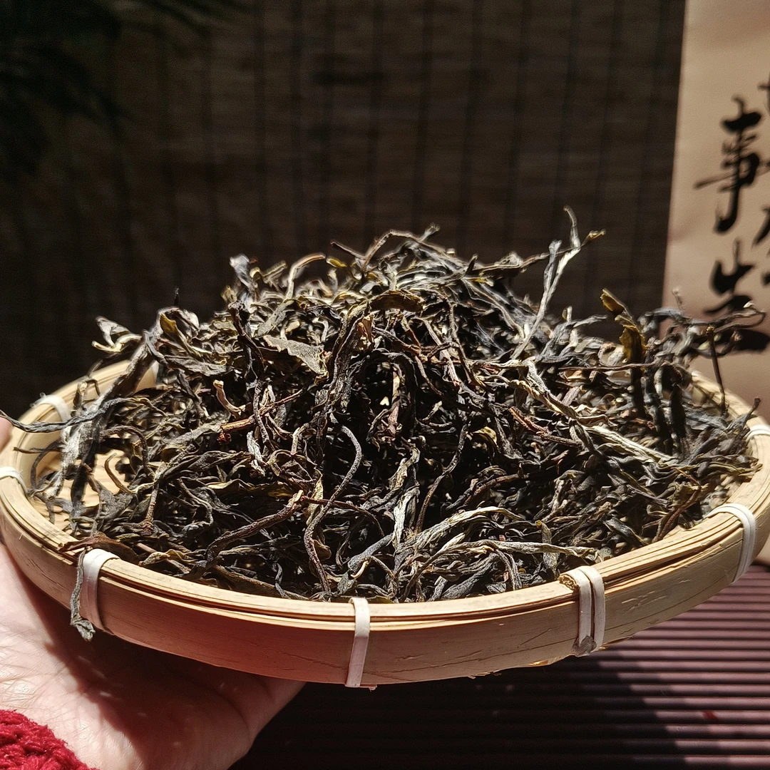 性价比古树首选，2025年黄草林古树秋香秋甜，润口，