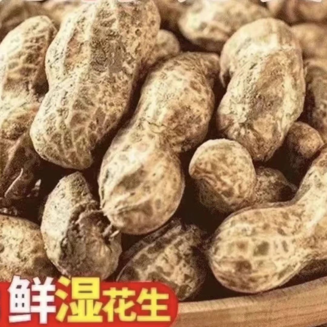 鲜挖花生可水煮(带鲜泥土介意勿拍)带壳白沙花生4.5斤包邮
