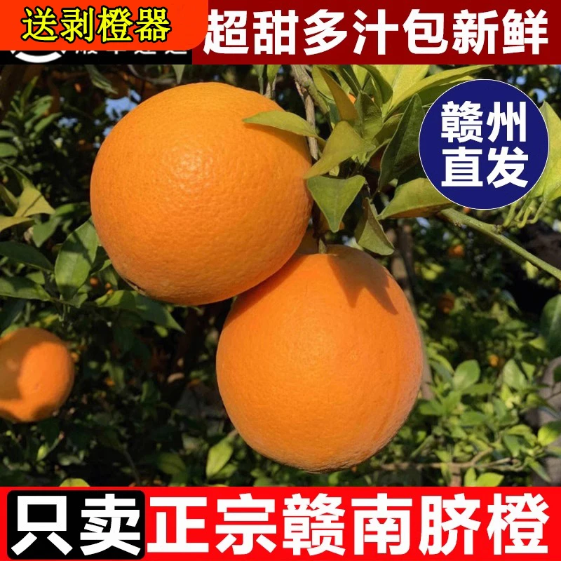 正宗江西赣南脐橙赣州产地直发新鲜橙子当季孕妇特级大果现摘现发