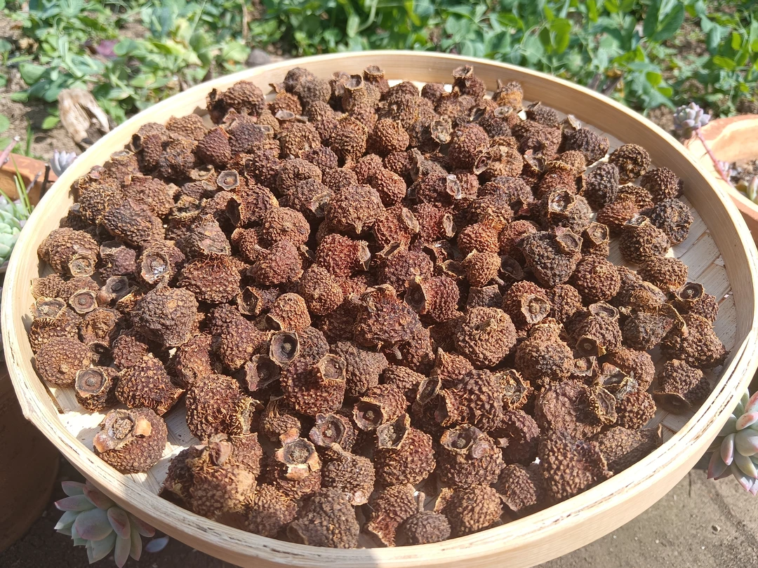 小五收山货【刺梨果】净重250g/500g
