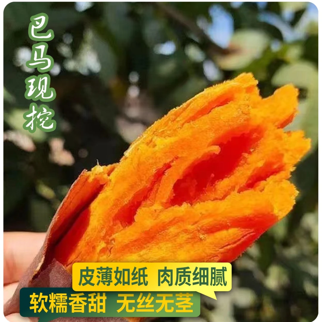 【大路专属】广西红薯无丝香甜小蜜薯皮薄甜糯红心山芋5-9斤