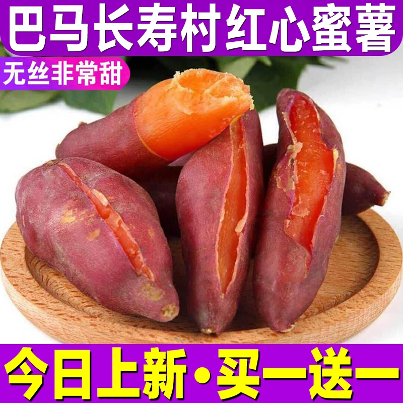 【新鲜现挖】西瓜红蜜薯糖心薯沙地红薯5-9斤山芋地瓜