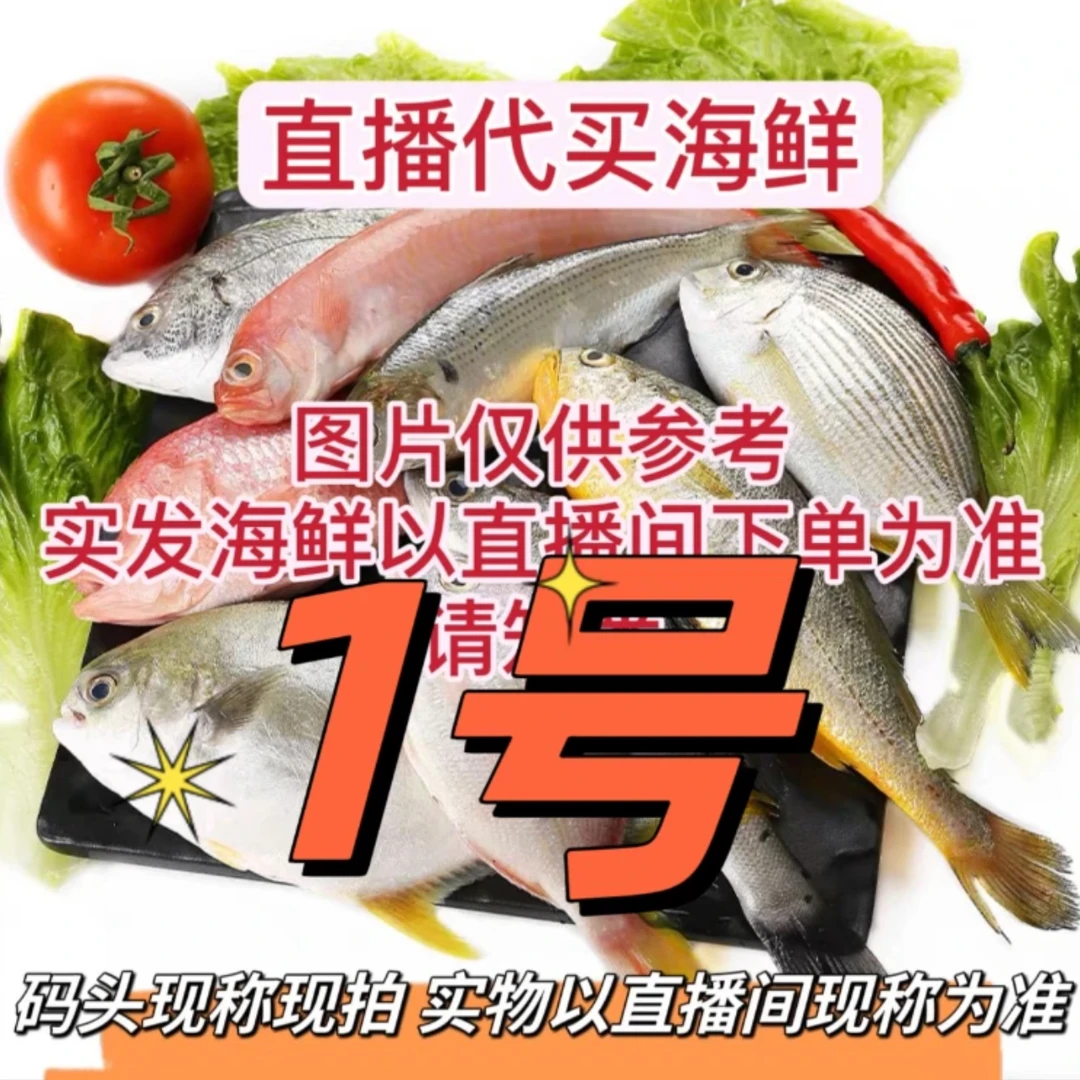 【二师兄】北海码头直播链接海鱼虾等等新鲜捕捞