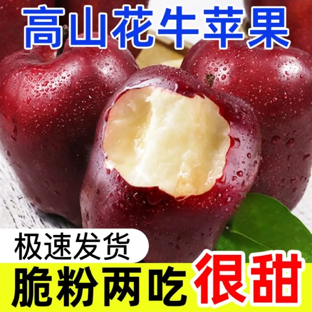 （脆吃去拍 顺丰包邮）甘肃天水产地直发2025年新果高山“花牛苹果；