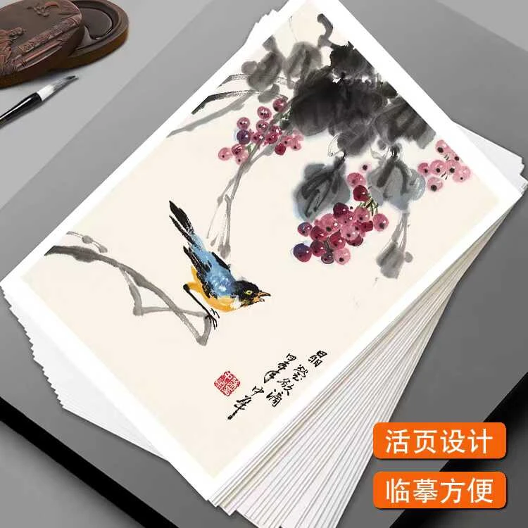 国画原创临摹卡传统国画花鸟蔬果绘画入门培训高清印刷全套32幅