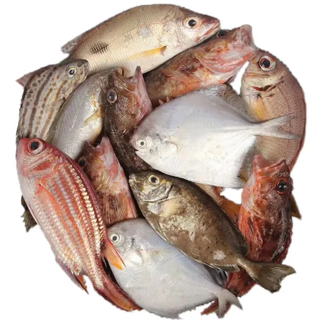 连云港发货海杂鱼10斤精选新鲜直播讲解为准改价链接