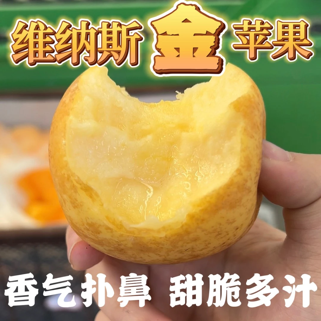 【燕窝姐姐专属】山东威海维纳斯苹果香脆纯甜核小带果锈4.5斤顺丰