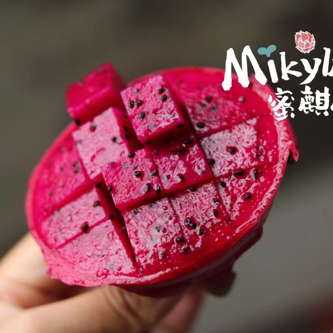 【花香浓甜细腻】蜜麒麟火龙果红心果冻口感应季水果顺丰