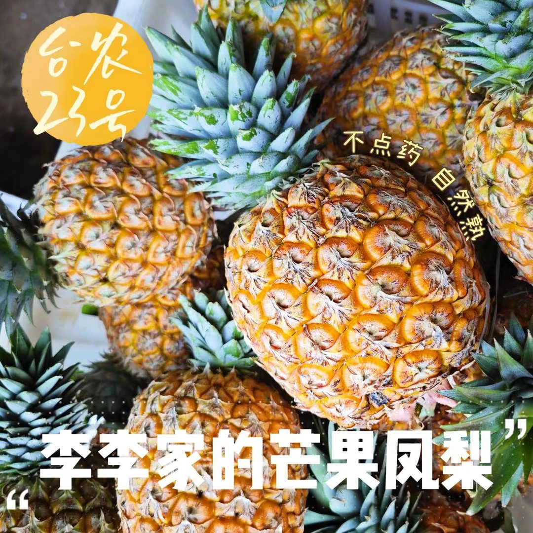 【浓香甜脆树熟】海南台农芒果凤梨台农23号自然熟不点药顺丰